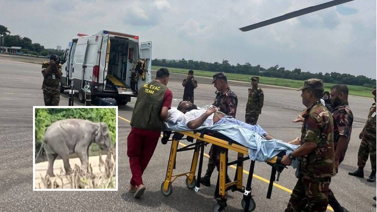 রামুতে আহত হাতিকে চিকিৎসা দিতে গিয়ে আহত ১৫